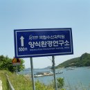 산양일주로 이미지