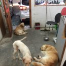 천둥축산 이미지