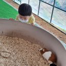 센트럴 곤충생태농장 이미지