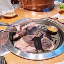 돼지의품격 이미지