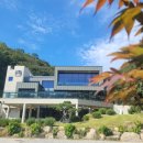 유정1955 이미지