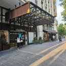 노틀담세탁 이미지