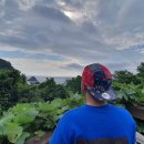 모시개민박 이미지