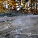 영하개 이미지