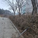 전지 작업