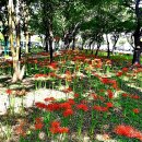 만평네거리 이미지