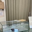 고소소 이미지