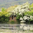 밀양 가볼만한곳 추천명소 10곳 이미지