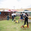 팅커벨하우스 이미지