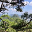 [대전세무사의 등산후기] 계룡산 등산코스 - 오봉종주 안내