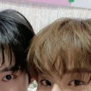 도영1호 이미지