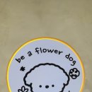 비어플독(be a flower dog) 이미지