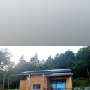 강진3호 이미지