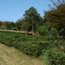 초의선사탄생지(1) 이미지