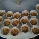 장엄유치원 이미지