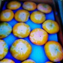 진영농장 이미지