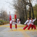 혜성태권도 이미지