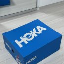 호카 HOKA 여성 본디 BONDI 9 구매 후기 / 사이즈팁