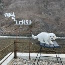 개버랜드