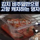 도파민 팡팡 터지는 여름이잖아