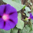 재봉틀 기초반 이미지