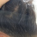 새치와까망머리 이미지