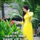 행행행 이미지