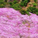 진달래빌딩 이미지