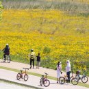 낙동강체육공원 자전거대여소 이미지