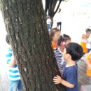 방어진초교 이미지