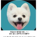 대치시대학사