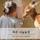 보람농장 | [파주 나눔농장 후기] 병아리부터 사슴까지 15종 동물체험, 입장료 9,000원 아깝지 않았던 이유