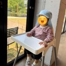자잠157 | 가평 아기랑 동물보는 카페 추천｜거위&청평호구경 가능한 자잠157 후기