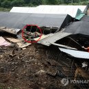 양지포토하우스 이미지