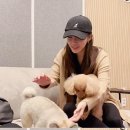 청하 이미지