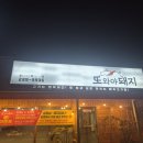 또와야돼지