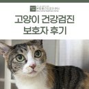 본동카페 | 대구 고양이 건강검진 보호자 후기 [고양이MRI CT/본동물건강검진센터]