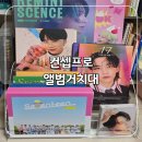 깔끔한 정리 가능 컨셉프로 앨범 거치대 5단 후기