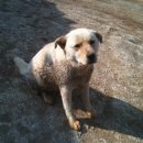 현정이네 농장 이미지