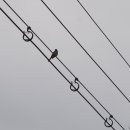 장삼포민박 이미지