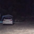 바람소리새소리 이미지