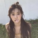 로제조이 네이버블로그