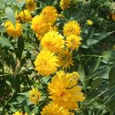 주촌센텀한의원 이미지