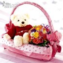 꽃보다 강쥐 이미지