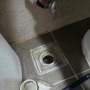 크린솔루션 이미지