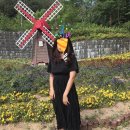 사상근린공원 이미지