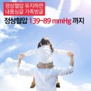 다온정보 이미지