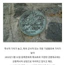 제주도 제1 훈련소 이야기 이미지