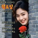 연꽃테마파크 이미지