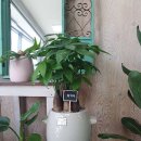 옥포우체국 이미지